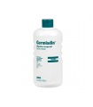 GERMISDIN 1000 ML