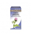 Arkocapsulas Cardo Mariano 300 Mg 100 Capsulas