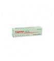 CAPSIDOL 0.25 MG/G CREMA 30 G