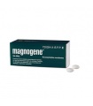 MAGNOGENE 45 COMPRIMIDOS RECUBIERTOS