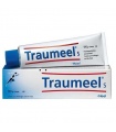 Traumeel S Pomada Heel 100g