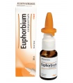Euphorbium Compositum Heel Spray Nasal 20ml